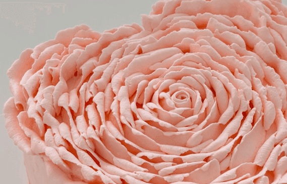 Hand-piped buttercream rose close-up