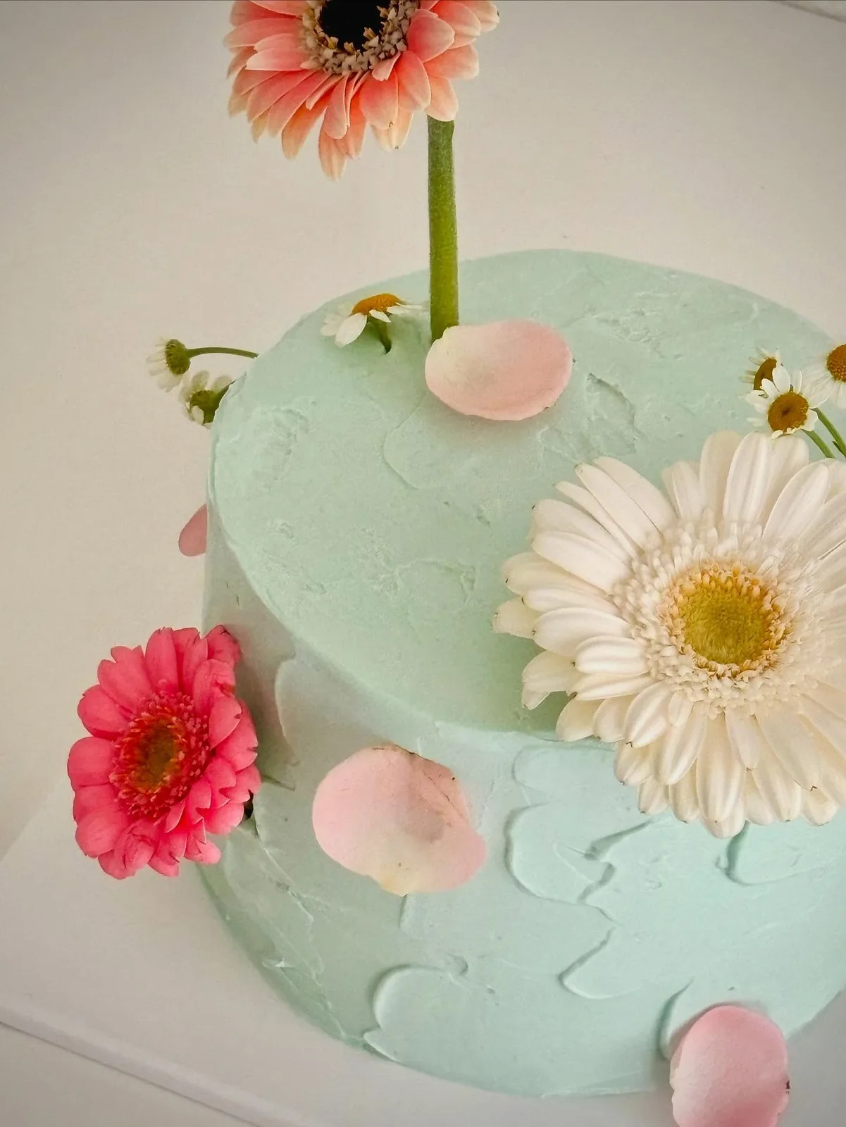 Mint cake with fresh gerbera daisies and petals, handmade to order by Danine Cakes in Streatham, South London